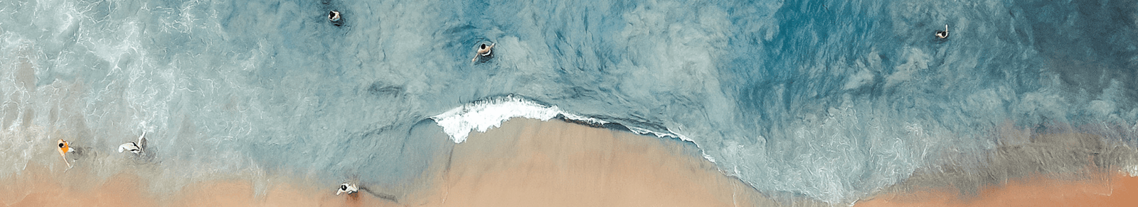  Exotic Food Networks 