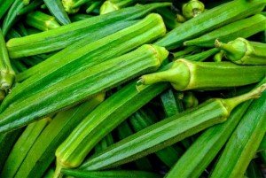 Okra Indian