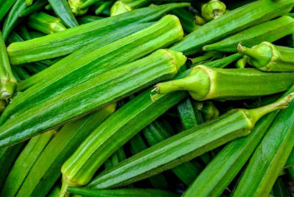 Okra Indian