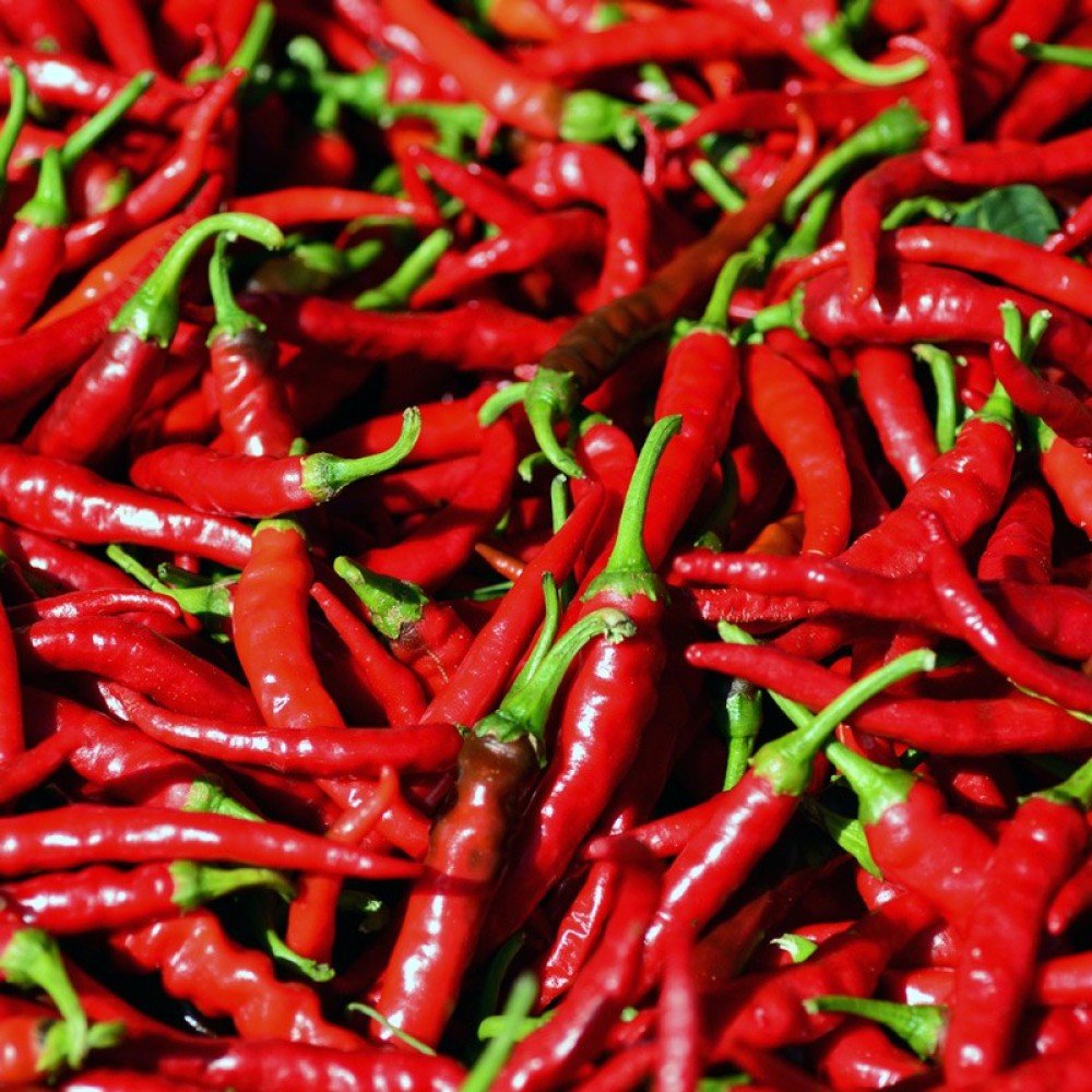 Hot Pepper (Kenya)
