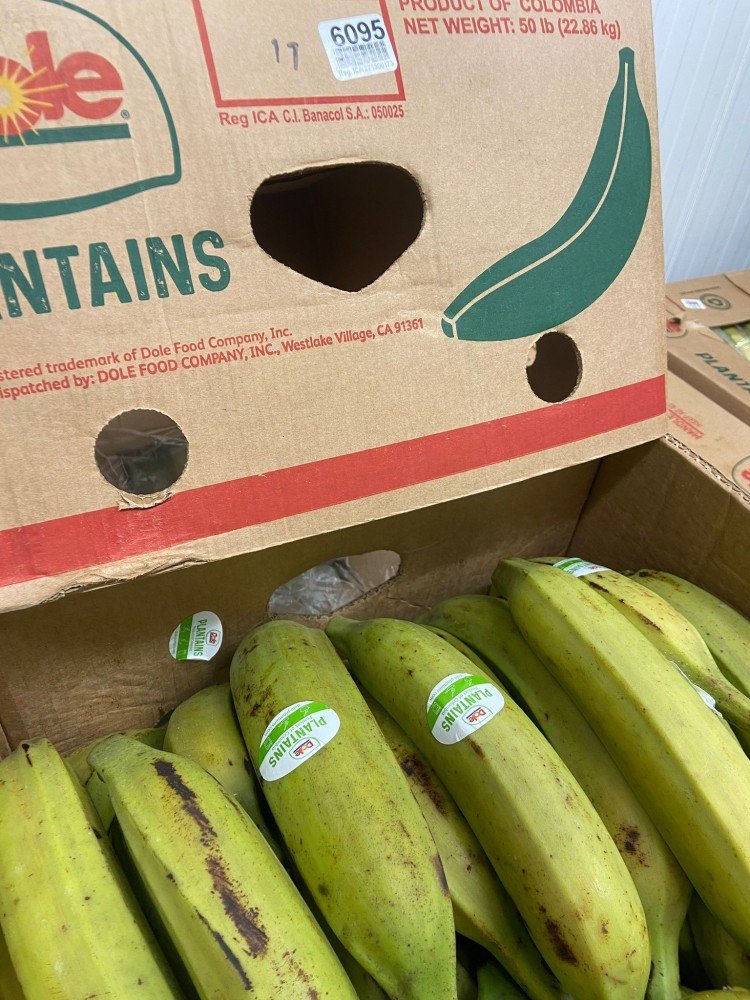 Plantain Columbia Green