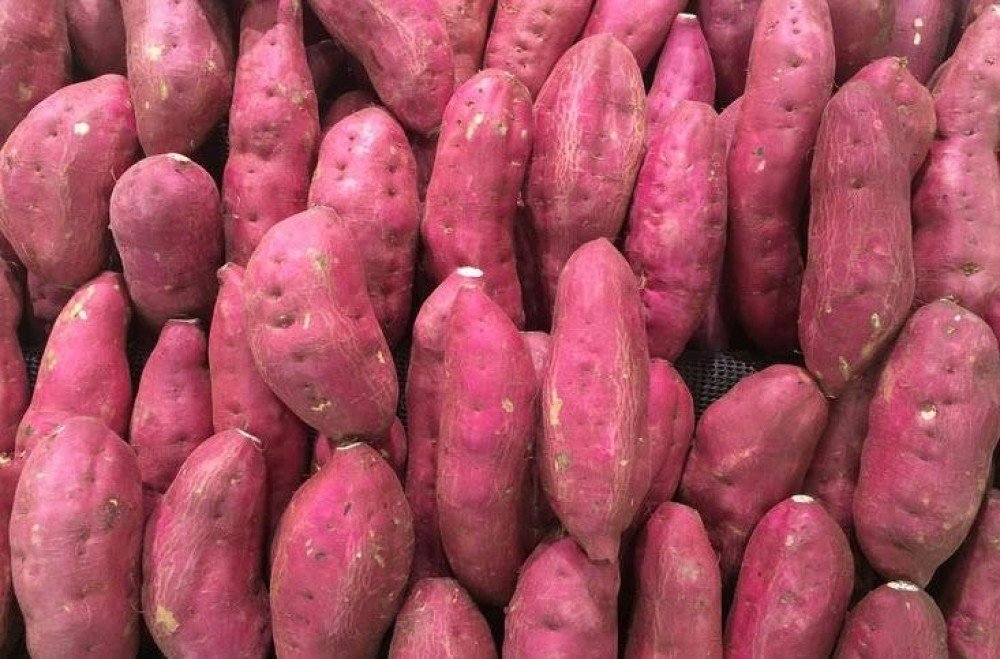Sweet Potato- Red