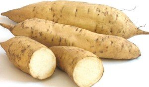 Sweet Potato – White