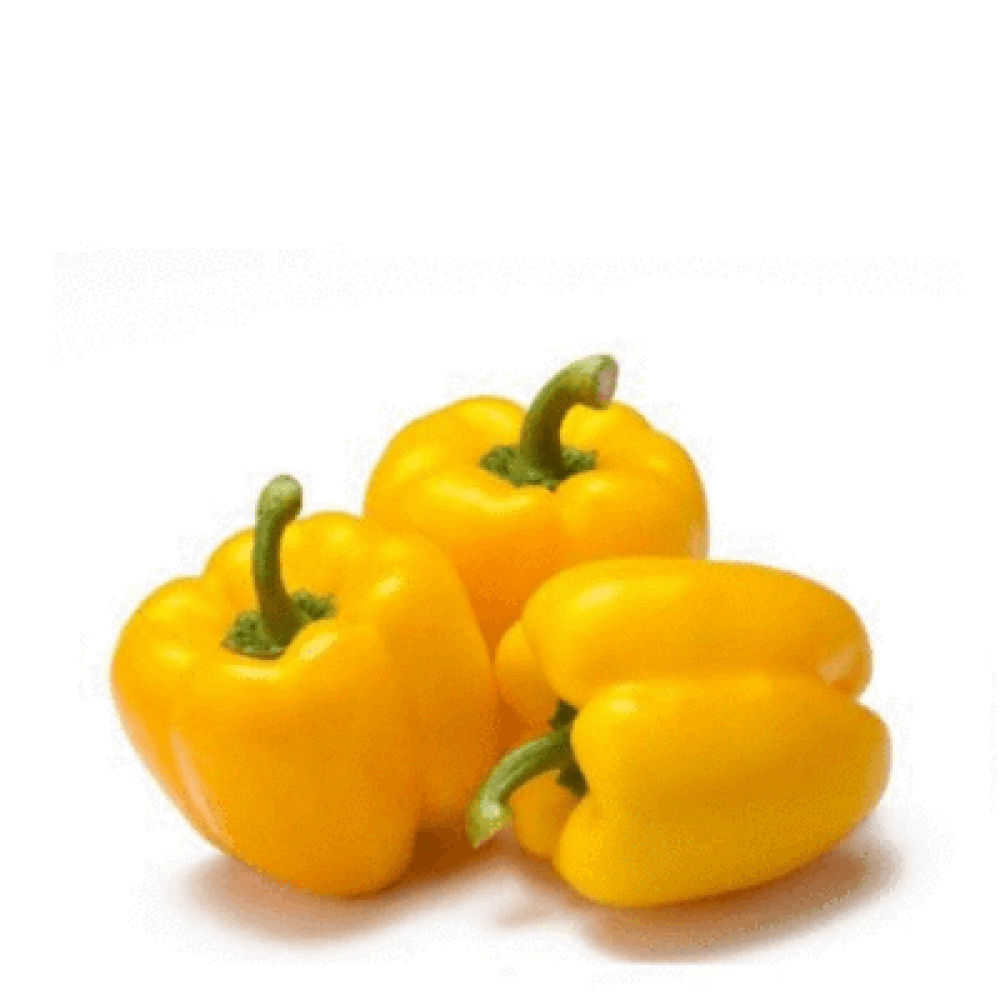 Capsicum –Yellow Bell